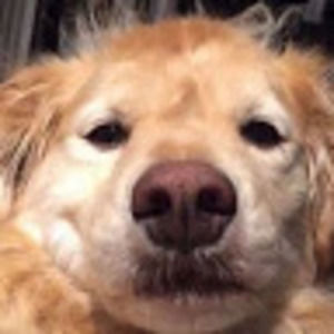 Meet your Posher, Ed